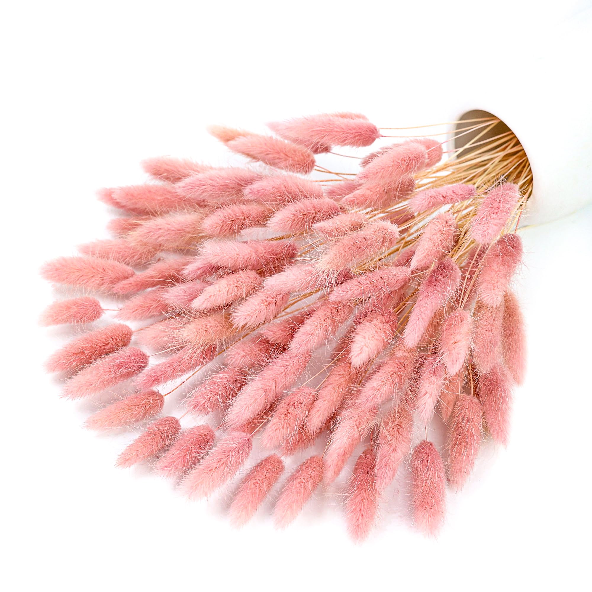 Pampas Grass Decor - 120 tallo rosa seco Pampas colas