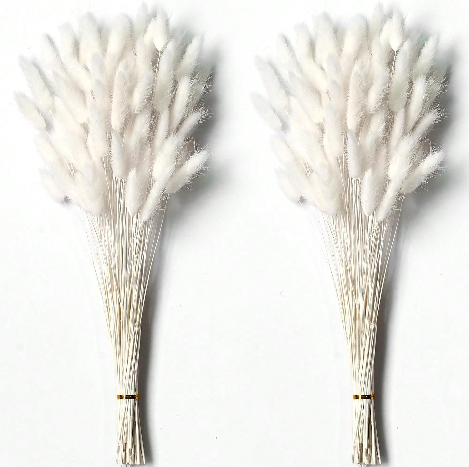 Pampas Grass Decor - 120 Uds. Decoración de hierba de