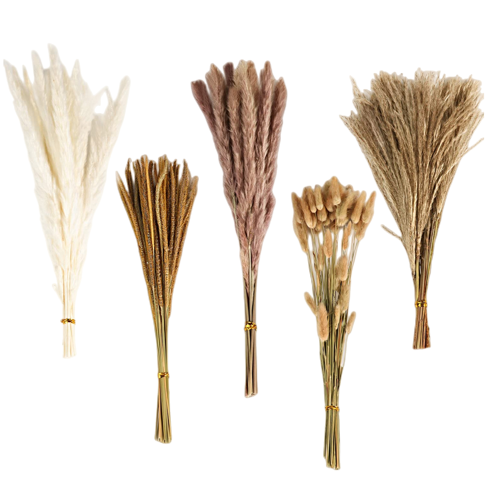 Ramo de Flores Secas Mixtas Vi - Pampas Grass Decor reseña y precio