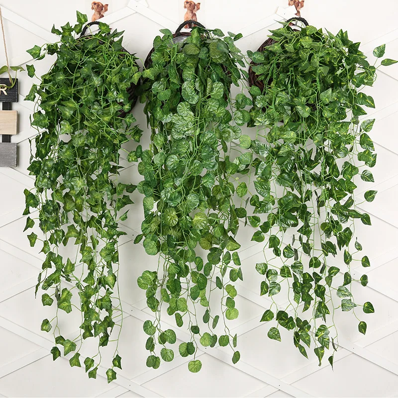 Planta colgante de pared de rá - Rattan Plant Basket reseña y precio