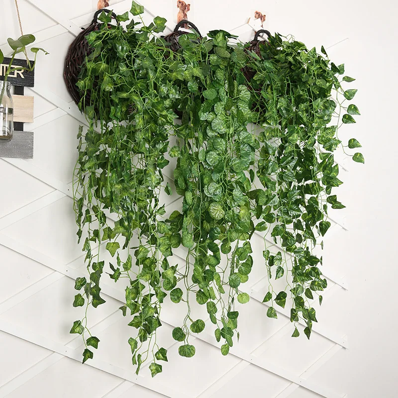 Planta colgante de pared de rá - Rattan Plant Basket reseña y precio