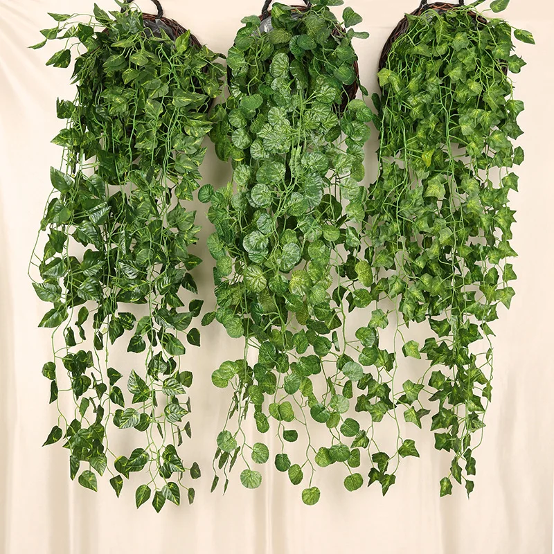 Planta colgante de pared de rá - Rattan Plant Basket reseña y precio